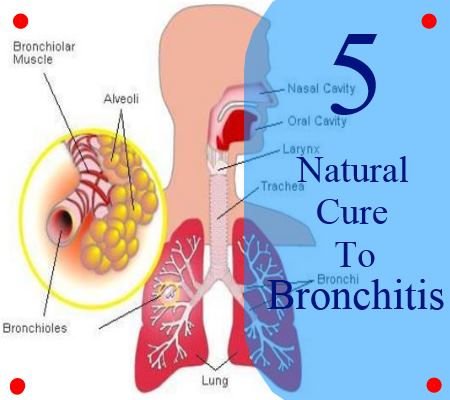 bronchitis cough contagious