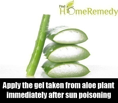 Aloe Vera Gel Aloe Vera Gel