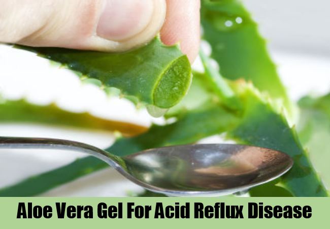 Aloe Vera Gel Aloe Vera Gel