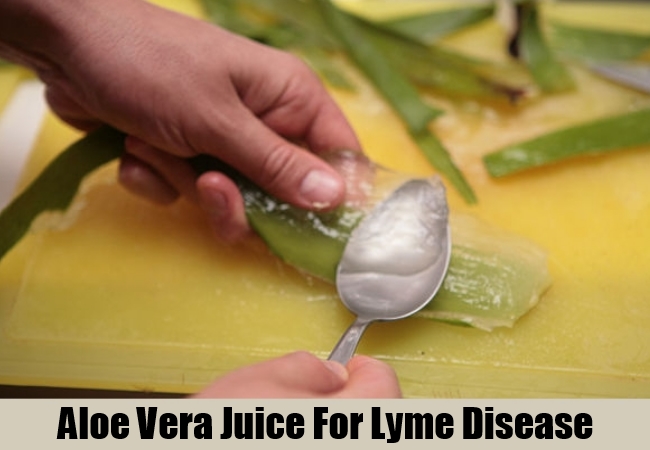 Aloe Vera Juice Aloe Vera Juice