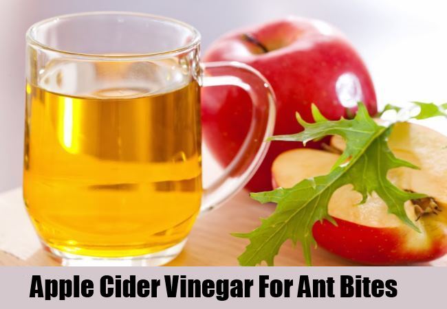 Apple Cider Vinegar | How to Make Mosquito Bites Stop Itching | home remedies for mosquito bites