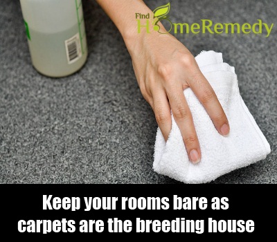Carpet Carpet
