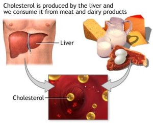 Lower Cholesterol Level