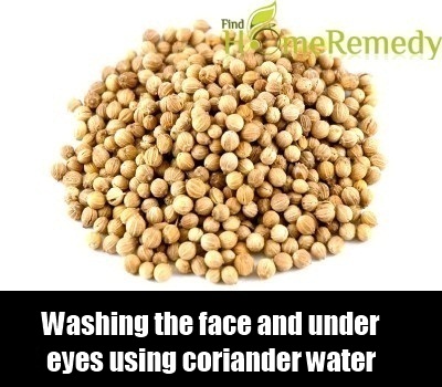 Coriander Seeds Coriander Seeds