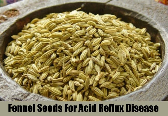 Fennel Seeds Fennel Seeds