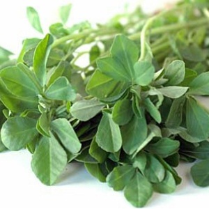Fenugreek Leaves Fenugreek Leaves