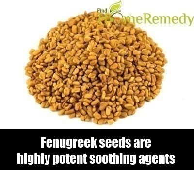 Fenugreek Seeds Fenugreek Seeds