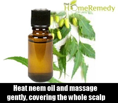Neem Oil Neem Oil