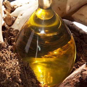 Sandalwood Oil Sandalwood Oil