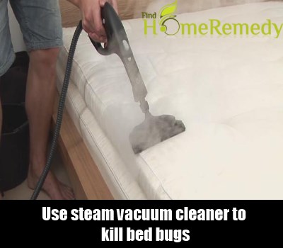 Steam Vacuum Cleaner