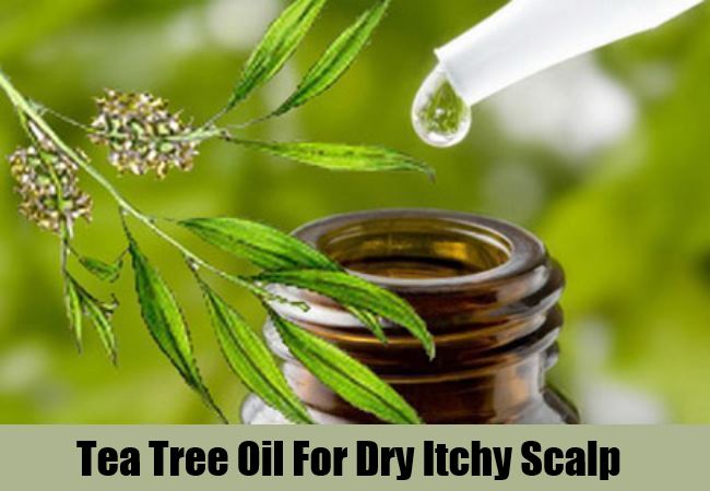 Tea Tree Oil Tea Tree Oil