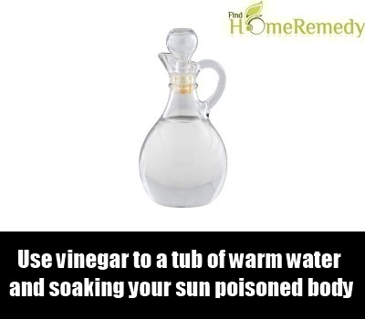 White Vinegar White Vinegar