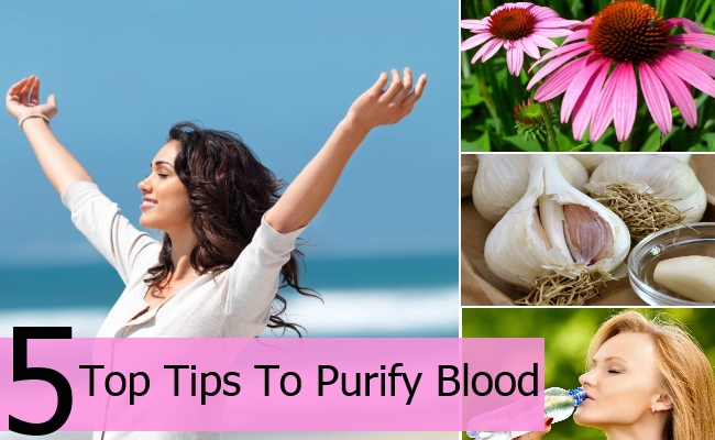 Top Tips To Purify Blood Top Tips To Purify Blood