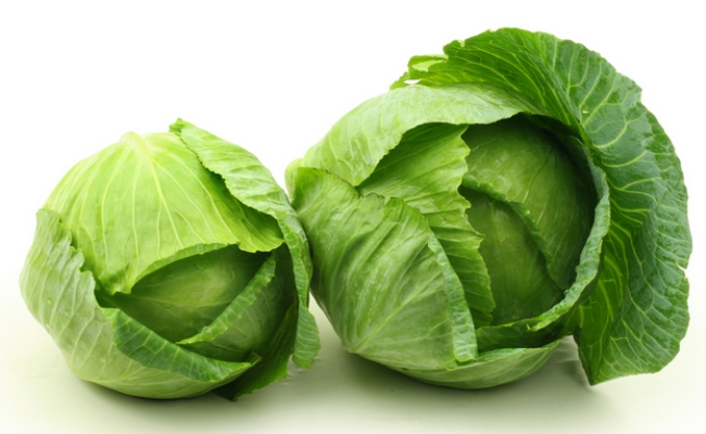 Cabbage Cabbage