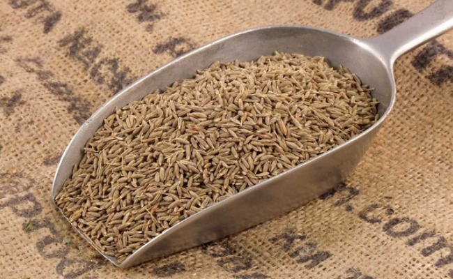 Cumin Seeds Cumin Seeds