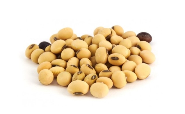 Soy