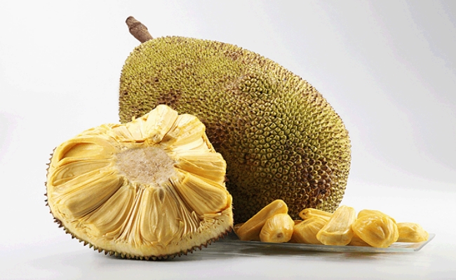 Jackfruit Jackfruit