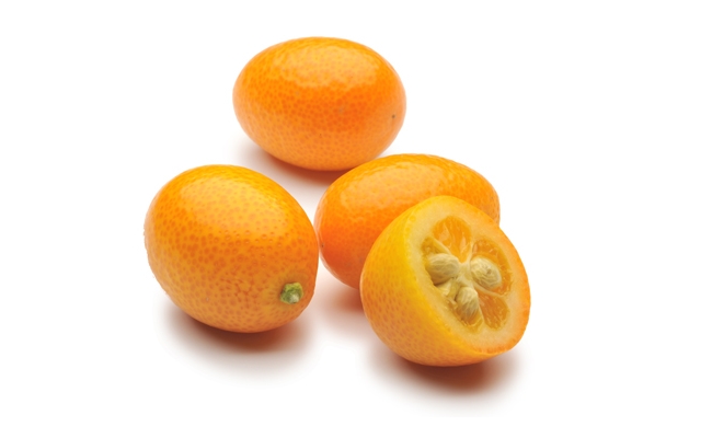 Kumquat Kumquat