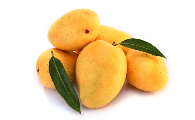 Mangoes Mangoes