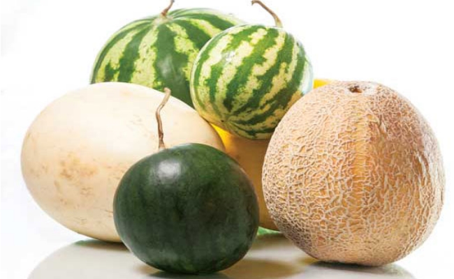 Melons Melons