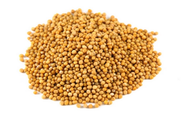 Mustard Seeds Mustard Seeds