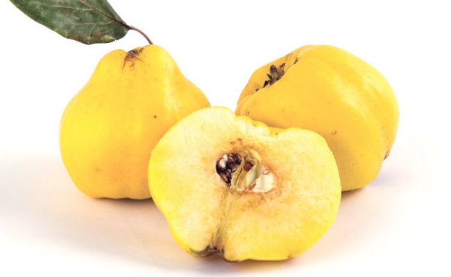 Quince Quince