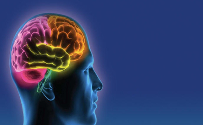 brain brain