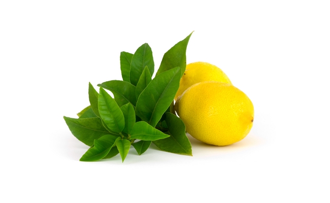 Lemon Herb lemon herb