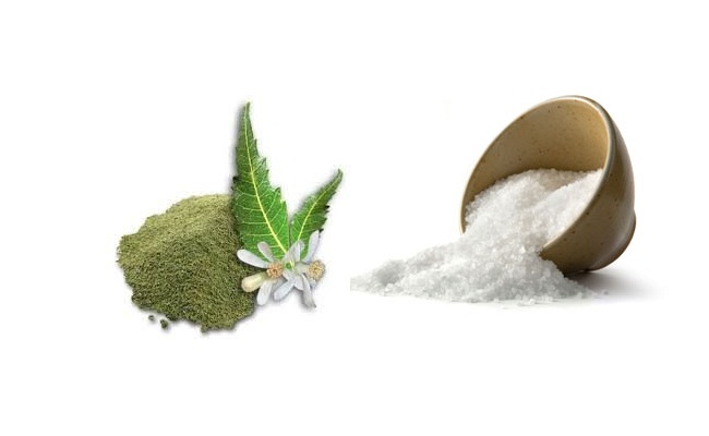 Neem Powder And Salt Neem Powder And Salt