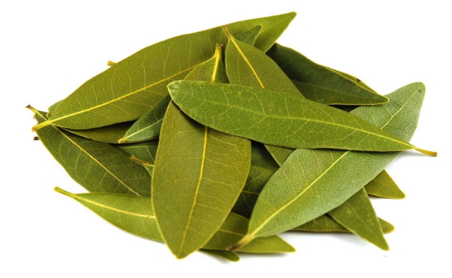 Bay Leaf (2)