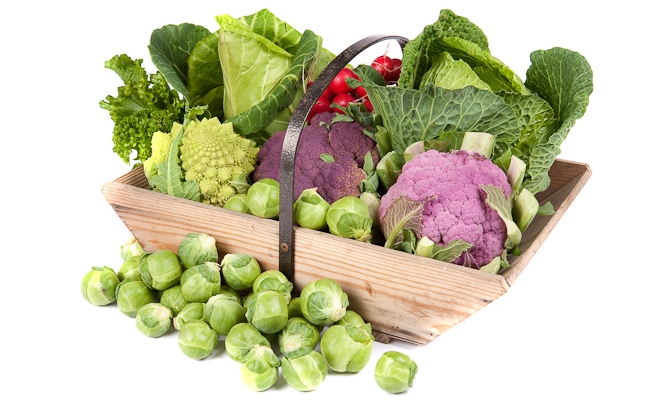 Brassica Vegetables