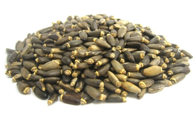 Milk Thistle Seed Infusion
