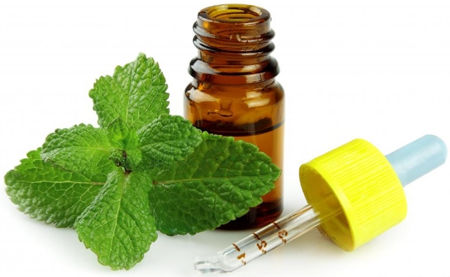 Peppermint Oil