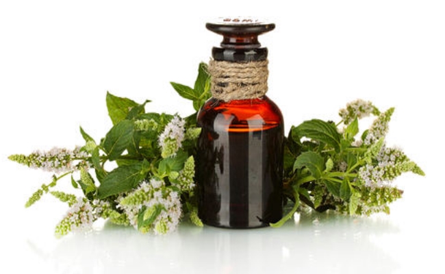 Tea Tree Oil