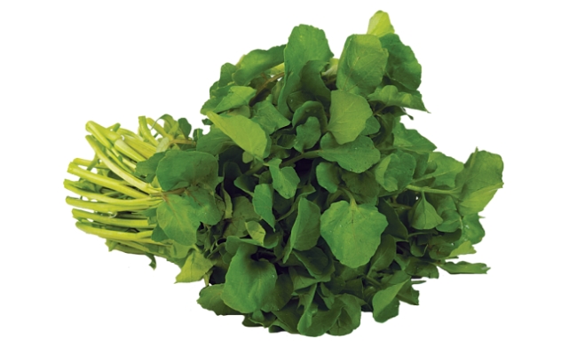 Watercress