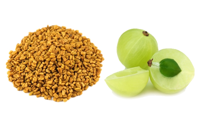 Amla and Fenugreek