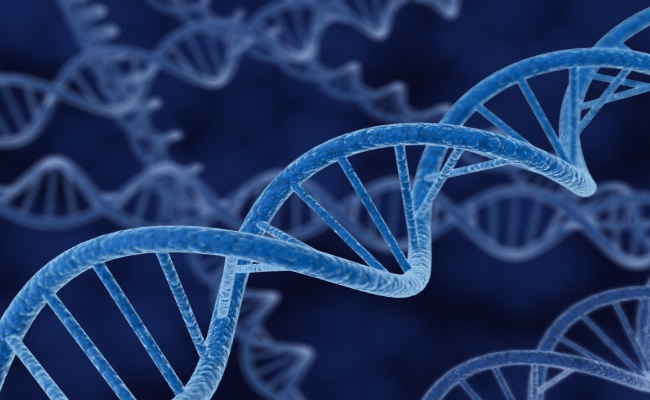 Help Protect DNA