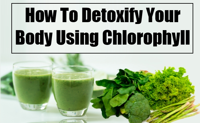 How To Detoxify Your Body Using Chlorophyll