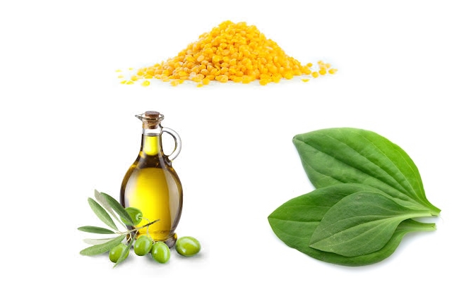 Ingredients1