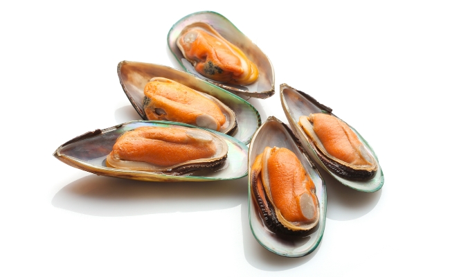 Mussels