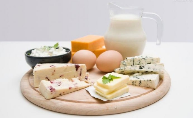 Protein Supplements