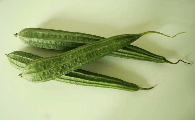 Ribbed gourd
