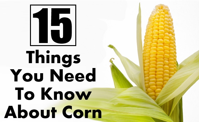 Things You Need To Know About Corn