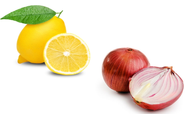 onion and the lemon