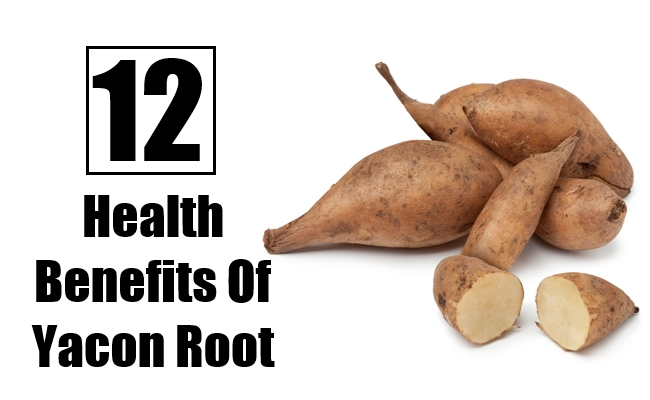 Health Benefits Of Yacon Root