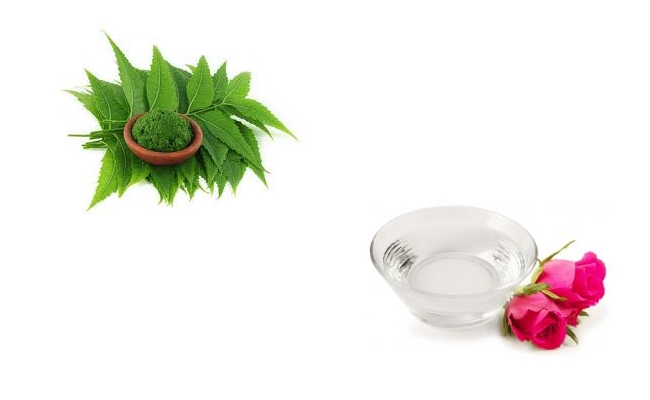 Rose water and Indian Lilac