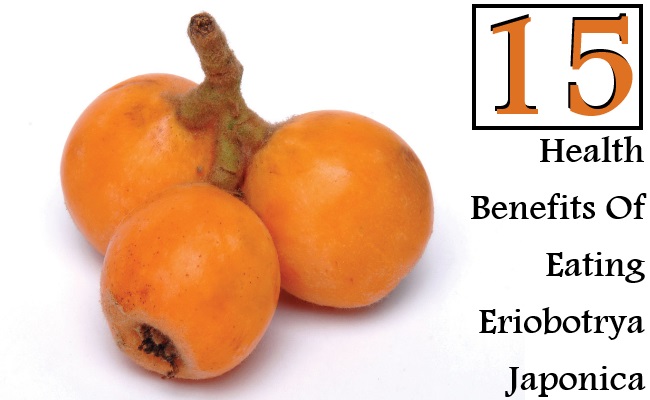 japonica japonica