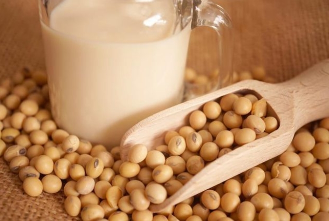 soy-protein