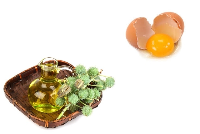 Egg And Castor Oil Egg And Castor Oil