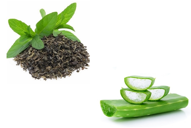 Aloe Vera Gel And Green Tea Aloe Vera Gel And Green Tea